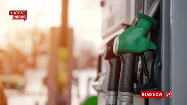 UAE Petrol Price For August 2025: Costs For A Full Fuel Tank