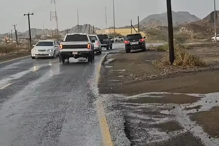 UAE Weather Alerts