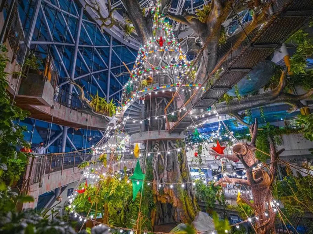 Family Friendly Things to do in Christmas