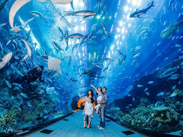 image - Times of Dubai Free things to do in dubai times of dubai