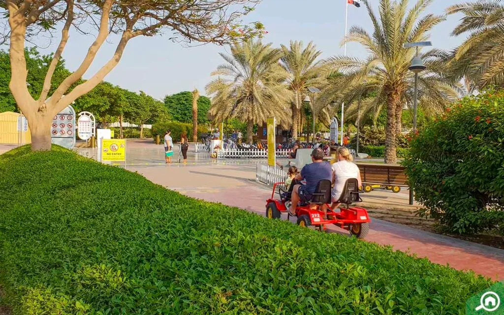 image - Times of Dubai Free things to do in dubai times of dubai