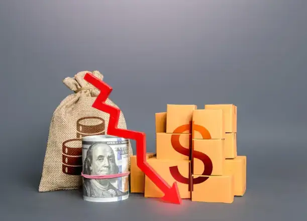 UAE Anti-Dumping Measures Introduced to Curb Surge of Chinese Goods  in the UAE Markets
