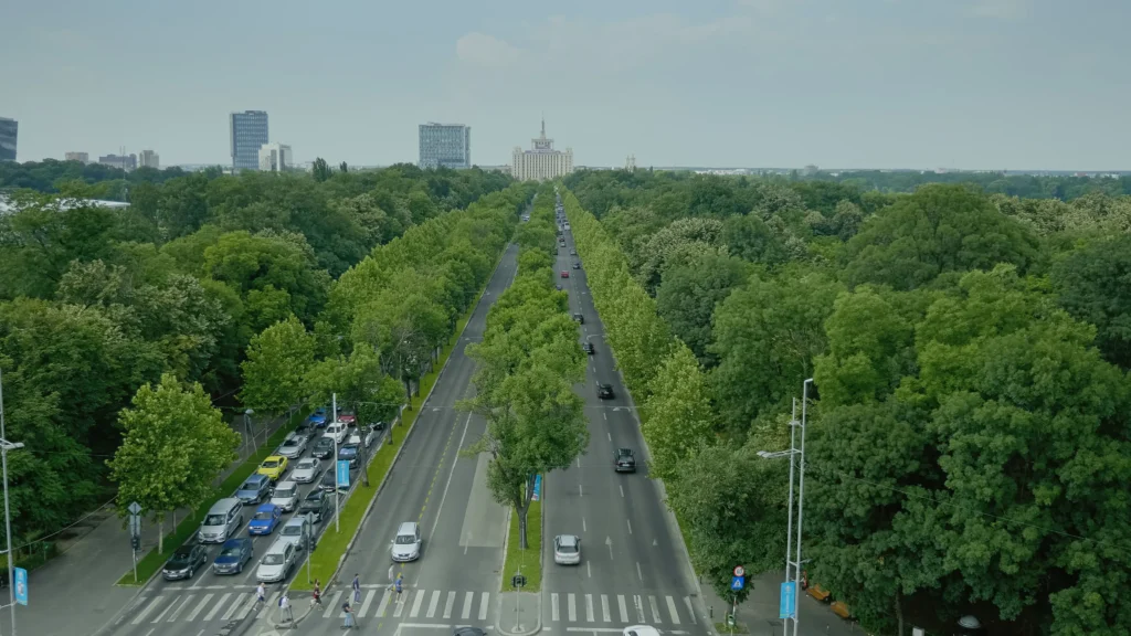 Abu Dhabi Urban Development: Paving the Way for Car-Free Connectivity
