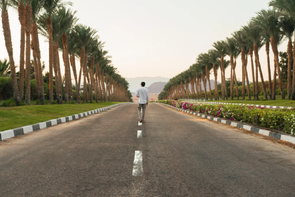 Abu Dhabi Urban Development