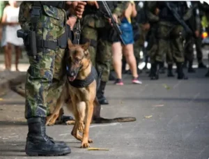 UAE Drug Seizure: Dh 10.64 Billion Worth of Narcotics Seized