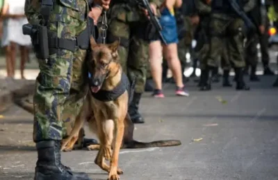 UAE Drug Seizure: Dh 10.64 Billion Worth of Narcotics Seized