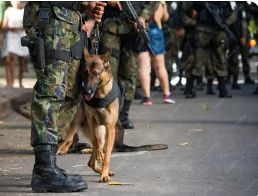 UAE Drug Seizure: Dh 10.64 Billion Worth of Narcotics Seized