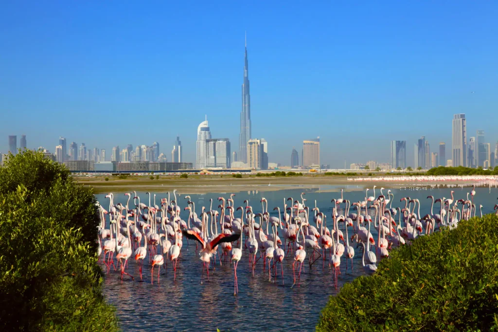 24 Hours in Dubai: An Unforgettable Journey Beyond the Tourist Trail via Metro