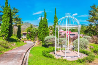 Dubai miracle garden announces free entry for all uae residents this month times of dubai